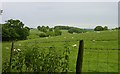 Meadow near Hucking