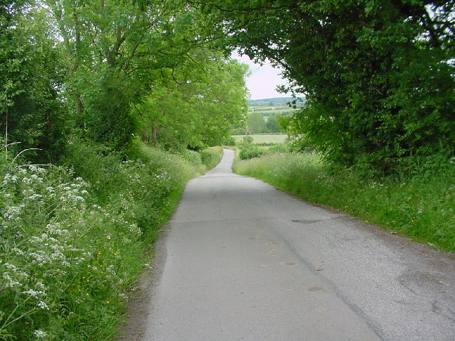 The road to Stoneyford Lodge