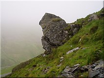NY2927 : Pinnacle on the north-east buttress of Lonscale Fell by David Gruar