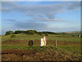 Trig point at Hunger Hill near Hoylandswaine