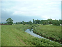 SD4541 : River Wyre, near St Michael's on Wyre by David Medcalf