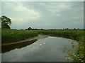 River Wyre, near Great Eccleston