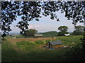 Free-range chickens!, Stoneyhills Farm, Great Warley, Essex