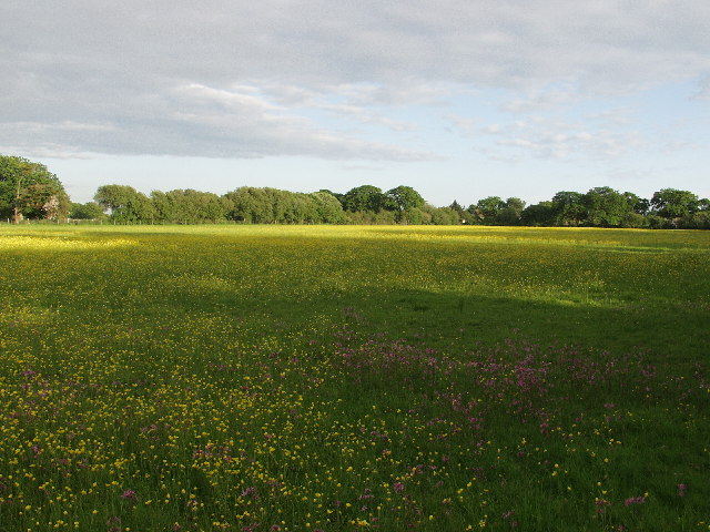 Meadow © Nigel Richardson cc-by-sa/2.0 :: Geograph Britain and Ireland