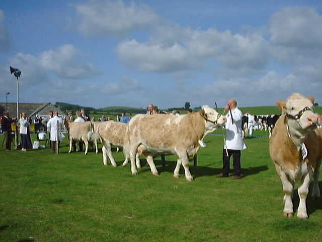 Westmorland Agricultural Show