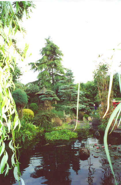Japanese Gardens, North Clifton