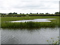 Lancaster canal and a pond in the adjacent field