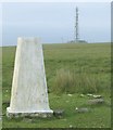 SN6510 : Trig point on Betws Mountain by Nigel Davies