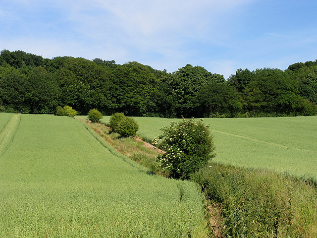 Farmland near Eling