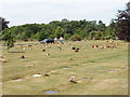 Parkside Cemetery of South Bucks District Council