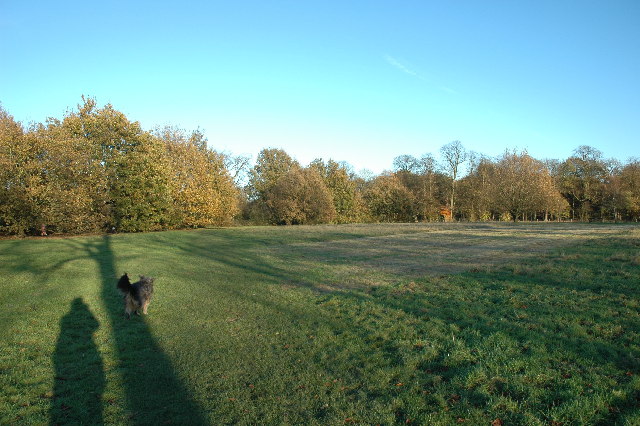 Marbury Country Park © andy :: Geograph Britain and Ireland