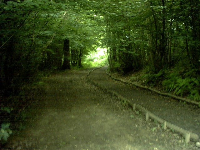 Ham Street Woods - Near Entrance