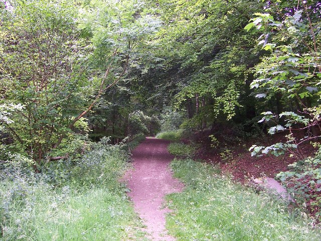 Wendover Woods © Helena :: Geograph Britain And Ireland