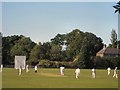 Cricket Match