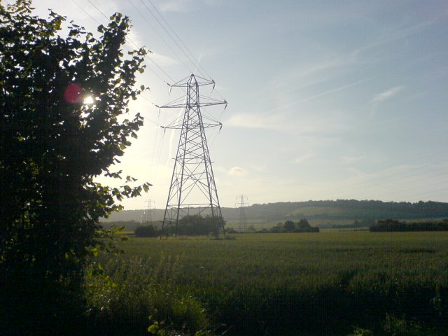 Pylons, through Barley Fields