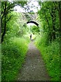 Road Bridge Over Disused Railway