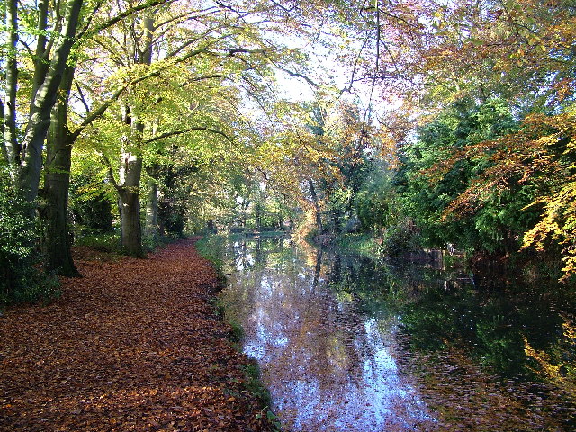 Basingstoke Canal, Sheerwater, Woking