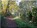 Basingstoke Canal, Sheerwater, Woking