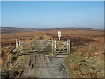 SK0893 : Pennine Way at A57 Snake Pass summit by Alan Fleming