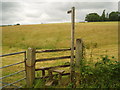 Footpath to Little Oddynes Farm