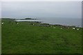 WWII Heavy Anti Aircraft gun battery at Ballymenach near Campbeltown