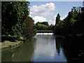 SP3165 : The River Leam, Royal Leamington Spa by David Stowell
