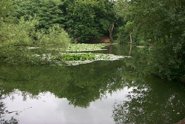Millers Pond, Sholing Common