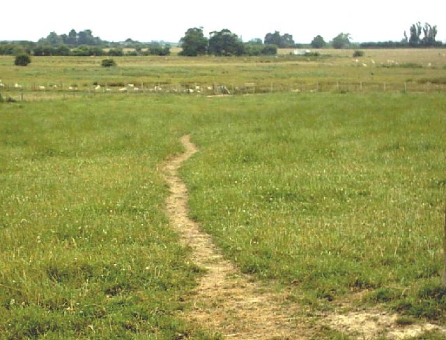 Footpath between Warehorne and Hamstreet