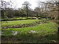 The ruins of Penhallam Moated Manor House