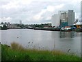 NZ2663 : View up the Tyne with Flour Mills on the North Bank (right) and Salt Meadows on the South by Mick Garratt