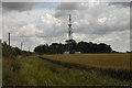 TL8969 : Lonely mast, Great Livermere by Bob Jones