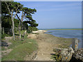 SZ3695 : Tanners Lake and shore, New Forest by Jim Champion