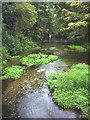 River Wandle from the Middleton Road bridge.