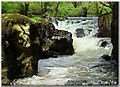 Pwll Y Bo waterfall