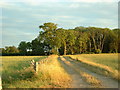 Track entering field from Stan Hill