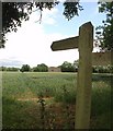 Public Footpath across fields between County Oak and Rowley Farm, Near Crawley, West Sussex.