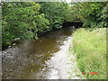 River Elwy - north of St. Asaph