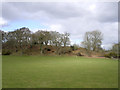 Southern ramparts of Buckland Rings Iron Age camp viewed from the south