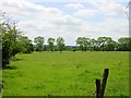 TQ8455 : Meadow in Hollingbourne by Penny Mayes