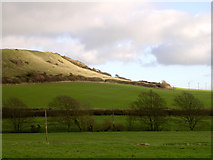 SY5784 : View east towards Linton Hill from Abbotsbury Swannery car park by Jim Champion