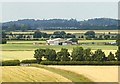 Farm near Bunny