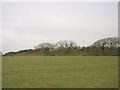 Nettlecombe Tout promontory fort