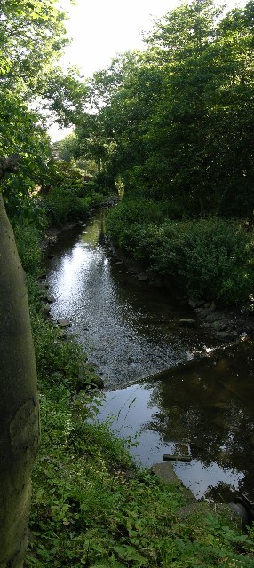 Tang Hall Beck