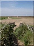 TF4299 : Donna Nook - path from car park across sand dune by Angus Townley