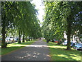 Regent Grove and Hamilton Terrace, Royal Leamington Spa