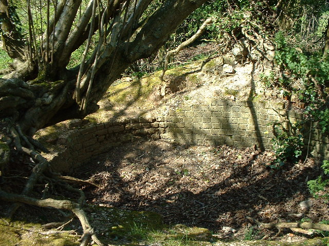 Remains of a Lime Kiln near Leigh