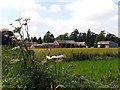 Farm near Woodlands St Mary