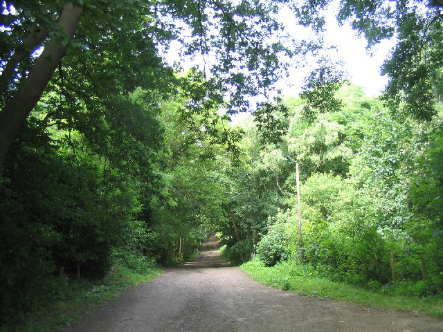 Havering Country Park, Collier Row, Essex