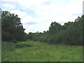 TQ5794 : Meadowland, South Weald Park, Sandpit Lane, Brentwood, Essex by John Winfield