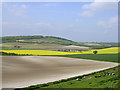 Farmed chalk downland north of Teglease Down